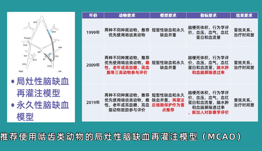 袁云云博士：啮齿类动物脑卒中疾病药效成药性评价系统（2）.jpg