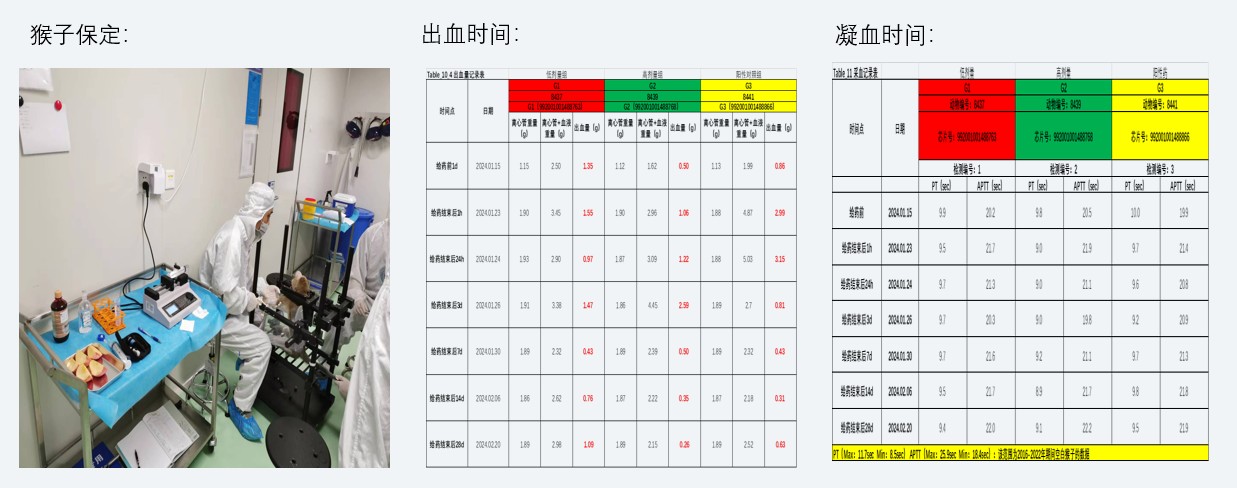 案例2：小分子抗凝药对食蟹猴出凝血功能影响.jpg